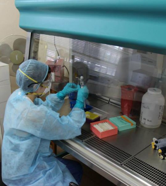 ebola_virus